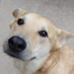 Meet your Posher, Kara